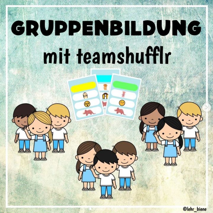 teamshufflr in der deutschen Lehr-Community